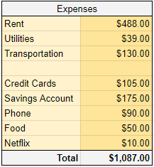 example of expenses such as rent, utilities, transportation and loan repayment. 